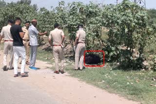 Dead Body Found in Suitcase in faridabad