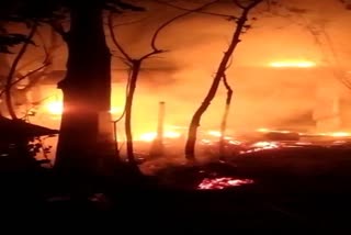 animal burnt in fire in Murshidabad