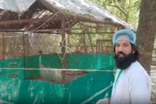 Sarus Crane tries to jump out of enclosure seeing man who rescued him