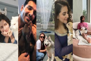 CELEBS AND THEIR LOVABLE PETS