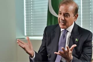 SHEHBAZ SHARIFS PAKISTAN