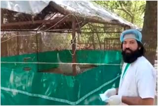 Arif met his friend Saras in Kanpur Zoo, stork looked desperate to come out of enclosure, watch video