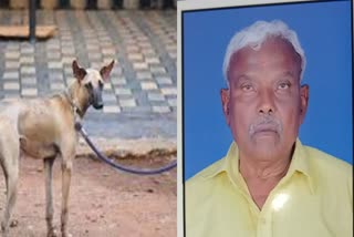 Bengaluru: A old man beaten to death with a cricket bat over dog issue