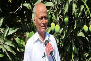 haveri-farmer-grow-more-than-4-tons-of-mango