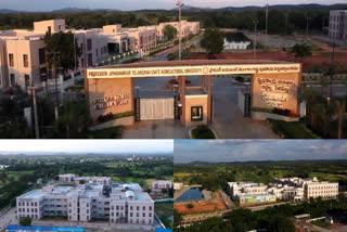 Sircilla Agricultural College