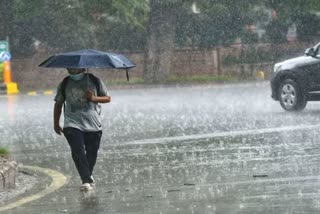 normal monsoon expected this year