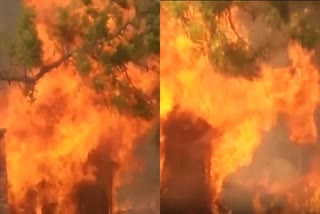 भागलपुर में कई घरों में आग
