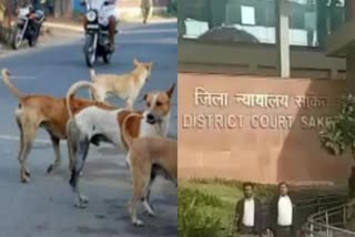 Disputes regarding dogs reaching court
