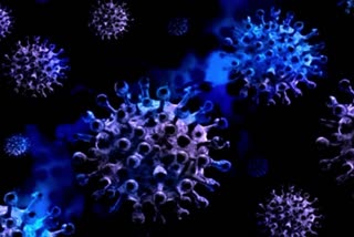 مہاراشٹر میں کورونا وائرس کے 919 نئے کیسز درج