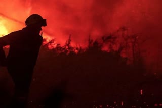 جنوبی کوریا کے جنگل میں آگ لگنے سے سو سے زائد گھر خاک