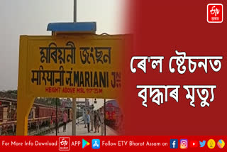 Woman dies after being hit by train at Mariani junction