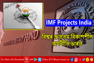 IMF