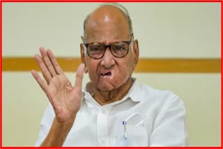 Sharad Pawar News