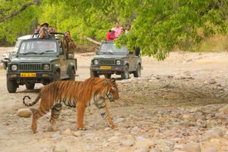 Jim Corbett National Park