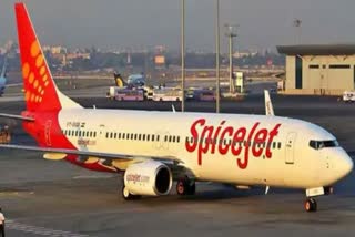 Spicejet flight file pic