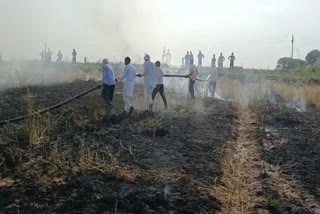 farmer standing wheat crop burnt to ashes