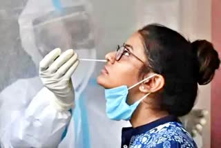 Blood plasma testing for covid Coronavirus India . coronavirus news  . Coronavirus Update