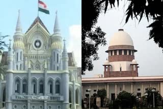 madhya pradesh high court get 7 new judges