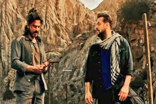 SRK, Salman's action sequence in 'Tiger 3' to be conceptualized by three action directors