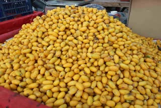 Manilkara Hexandra Fruit : ઉત્પાદન અને માંગ ઓછી હોવા છતાં ઉનાળામાં આરોગ્ય માટે આ ફળનો દબદબો