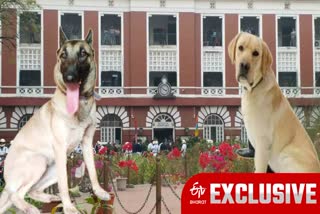 Kolkata Police Dog Squad ETv bharat