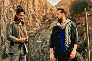 Shah Rukh Khan  Salman Khan  Salman Khan Tiger 3  Tiger 3 movie  tiger 3 hindi film  Tiger vs Pathaan  Salman SRK Tiger 3  action sequence in Tiger 3  Action scene in Tiger 3  ടൈഗർ പഠാൻ  ടൈഗർ 3  പഠാൻ  ഷാരൂഖ് ഖാൻ  സൽമാൻ ഖാൻ  സൽമാൻ ഖാൻ ടൈഗർ 3  ടൈഗർ 3 സിനിമ  ടൈഗർ 3 ഹിന്ദി സിനിമ