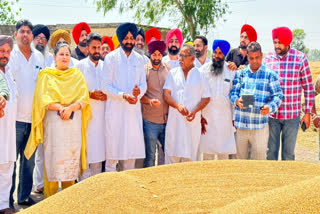 Cabinet Minister Laljit Singh Bhullar started procurement of wheat in belt markets