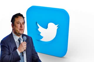 Twitter CEO elon Musk