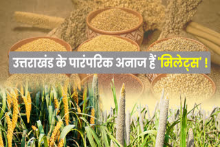 International Year of Millets