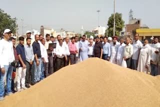 wheat procurement in haryana