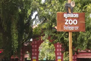 zoo snake park thiruvananthapuram  thiruvananthapuram zoo snake park  visitors not allowed zoo snake park  thiruvananthapuram zoo  snake park thiruvananthapuram  മൃഗശാല  zoo  തിരുവനന്തപുരം മൃഗശാല  മൃഗശാല സ്നേക്ക് പാർക്ക്  സ്നേക്ക് പാർക്കിൽ സന്ദർശകർക്ക് വിലക്ക്  സ്നേക്ക് പാർക്ക് നവീകരണം  തിരുവനന്തപുരം മൃഗശാല സ്നേക്ക് പാർക്ക്  തിരുവനന്തപുരം മൃഗശാല  സ്നേക്ക് പാർക്കിൽ സന്ദർശകർക്ക് വിലക്ക്  സ്നേക്ക് പാർക്ക് സന്ദർശനം  സ്നേക്ക് പാർക്കിൽ നിയന്ത്രണം
