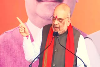 Give BJP 35 seats Mamata Govt will fall says Amit Shah