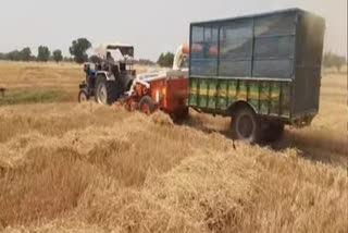 Agriculture department shut down straw making machines in Moga