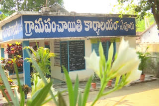 Women Friendly Village