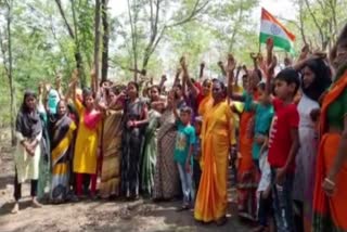 Chipko movement started in Dhanbad