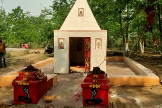 idol of lord hanuman and shiva