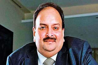 Mehul Choksi