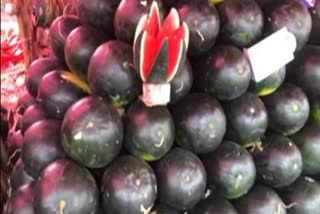 Watermelon of Rajasthan arriving in market