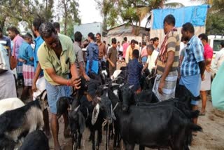 ரம்ஜானை முன்னிட்டு களைகட்டிய அன்னூர் சந்தை.. ரூ.1 கோடிக்கு மேல் விற்பனை அமோகம்!