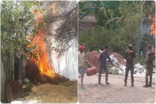 bush fire near nasirabad railway station