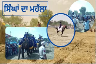 ਤਖ਼ਤ ਸ੍ਰੀ ਦਮਦਮਾ ਸਾਹਿਬ 'ਚ ਨਿਹੰਗ ਸਿੰਘਾਂ ਨੇ ਕੱਢਿਆ ਮਹੱਲਾ