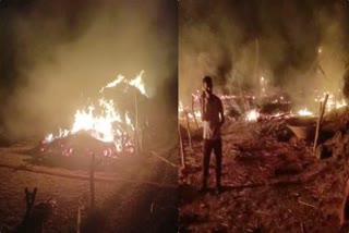 Shahdol Crop Fire