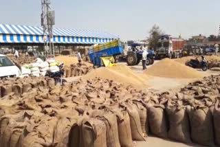 Kurukshetra Pipli grain market