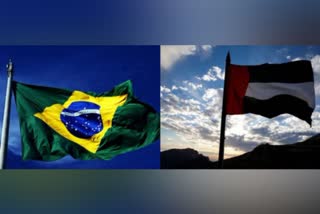 UAE Brazil Relation