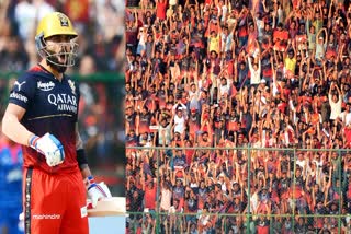 Delhi Capitals VS Royal Challengers Bangalore match photos