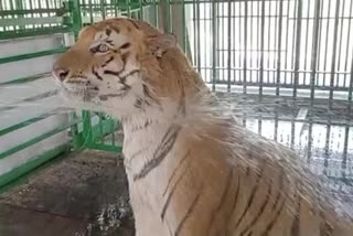 Jharkhali Tiger Rehabilitation Centre