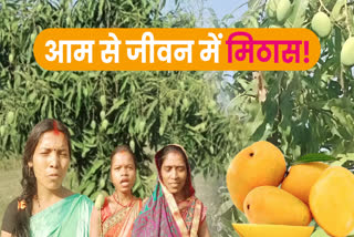 Women doing mango cultivation in Kasmar block of Bokaro