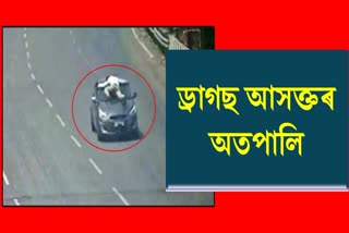 আৰক্ষীক গাড়ীৰ বনেটত উঠাই 20 কিলোমিটাৰ চোঁচৰালে ড্ৰাগছ আসক্ত লোকে