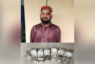 BSF apprehends Bangladesh national trying to cross border with Indian currency