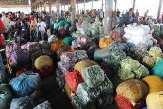 Vegetable Price: હોલસેલમાં શાકભાજીના ભાવ ઘટ્યા, લીંબુ રૂપિયા 80ના કિલો